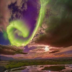 Meet your Posher, Shane